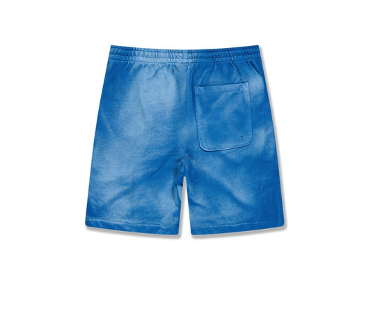JORDAN CRAIG RETRO - PARADISE WASHED SHORTS