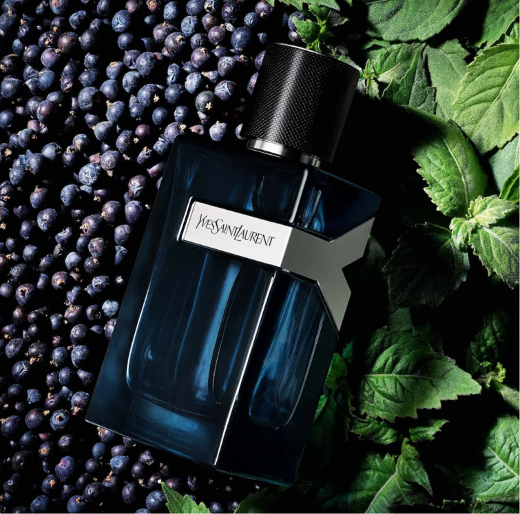 YSL Y Eau De Parfum Intense